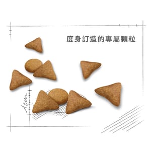Royal Canin Royal Canin 貓糧 法國皇家貓糧 健康營養系列 室內成貓食量控制營養配方 INAC29 4kg 4kg 特寫圖