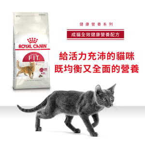 Royal Canin Royal Canin 貓糧 法國皇家貓糧 成貓全效健康營養配方 FIT32 10kg 10kg 正面圖