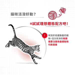 Royal Canin Royal Canin 貓糧 法國皇家貓糧 成貓全效健康營養配方 FIT32 2kg 2kg  背面圖