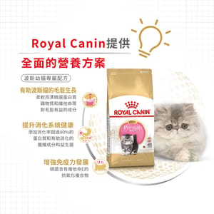 Royal Canin Royal Canin 貓糧 法國皇家貓糧 純種系列 波斯幼貓專屬配方 KPS32 10kg 10kg 背面圖
