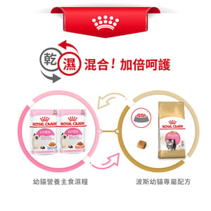 Royal Canin Royal Canin 貓糧 法國皇家貓糧 純種系列 波斯幼貓專屬配方 KPS32 10kg 10kg 特寫圖