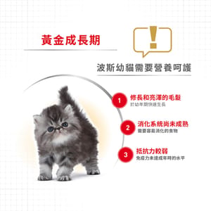 Royal Canin Royal Canin 貓糧 法國皇家貓糧 純種系列 波斯幼貓專屬配方 KPS32 10kg 10kg 包裝圖