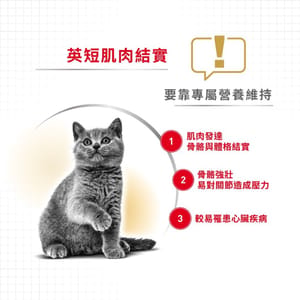 Royal Canin Royal Canin 貓糧 法國皇家貓糧 純種系列 英國短毛成貓專屬配方 BSH 4kg 4kg 背面圖