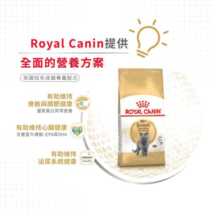 Royal Canin Royal Canin 貓糧 法國皇家貓糧 純種系列 英國短毛成貓專屬配方 BSH 4kg 4kg 側面圖