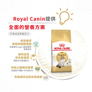 Royal Canin Royal Canin 貓糧 法國皇家貓糧 純種系列 布偶成貓專屬配方 RD 10kg 10kg  背面圖