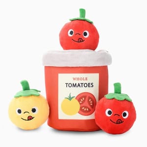 HUGSMART HUGSMART 三合一發聲益智玩具 蕃茄醬 正面圖