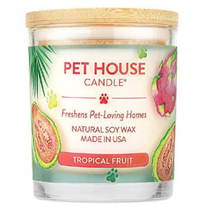 ONE ONE FUR ALL 天然精油除臭香薰蠟燭 熱帶水果 9oz 9oz 正面圖