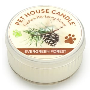 ONE ONE FUR ALL 天然精油除臭香薰蠟燭 青春松林 1.5oz 5oz 正面圖