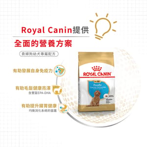 Royal Canin Royal Canin 狗糧 法國皇家狗糧 純種系列 貴婦狗幼犬專屬配方 貴婦幼犬糧 PDJ 3kg 3kg 側面圖