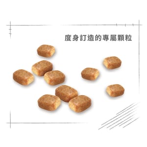 Royal Canin Royal Canin 狗糧 法國皇家狗糧 純種系列 芝娃娃成犬專屬配方 芝娃娃成犬糧 CHH28 1.5kg 5kg 特寫圖
