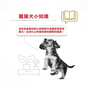 Royal Canin Royal Canin 狗糧 法國皇家狗糧 純種系列臘腸成犬糧 DS28 1.5kg 5kg  背面圖