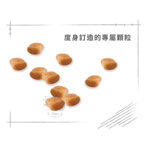 Royal Canin Royal Canin 狗糧 法國皇家狗糧 純種系列 貴婦狗成犬專屬配方 貴婦犬糧 PD30 1.5kg 5kg  特寫圖