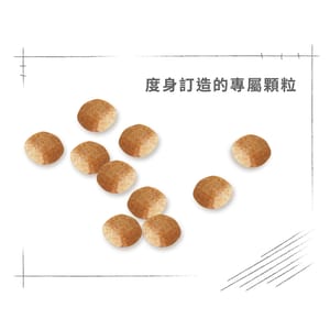 Royal Canin Royal Canin 狗糧 法國皇家狗糧 純種系列 迷你史納莎成犬專屬配方 史納莎成犬糧 SCH 3kg 3kg  特寫圖