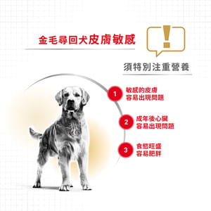 Royal Canin Royal Canin 狗糧 法國皇家狗糧 純種系列 金毛尋回成犬專屬配方 金毛尋回成犬糧 GOD 12kg 12kg  背面圖