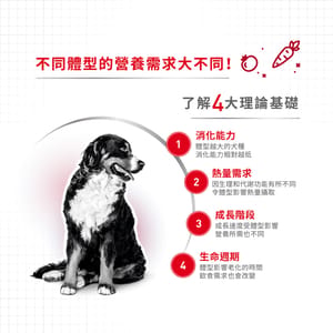 Royal Canin Royal Canin 狗糧 法國皇家狗糧 中型成犬營養配方 M25 4kg 4kg  背面圖
