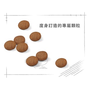 Royal Canin Royal Canin 狗糧 法國皇家狗糧 健康營養系列 中型成犬7+營養配方 中型老犬糧 SM25 7+ 15kg 15kg  特寫圖