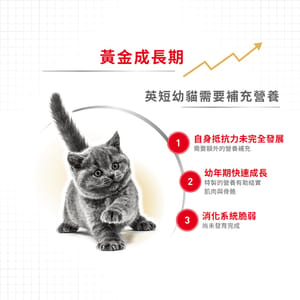Royal Canin Royal Canin 貓糧 法國皇家貓糧 純種系列 英國短毛幼貓專屬配方 KBSH38 10kg 10kg  背面圖