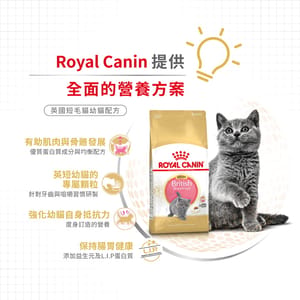 Royal Canin Royal Canin 貓糧 法國皇家貓糧 純種系列 英國短毛幼貓專屬配方 KBSH38 10kg 10kg  側面圖