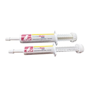 NurseMate NurseMate 奶滋味 牛初乳營養膏  15ml 15ml 貓犬用 正面圖