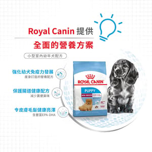 Royal Canin Royal Canin 狗糧 法國皇家狗糧 室內小型幼犬營養配方 ILJ 3kg 3kg  背面圖