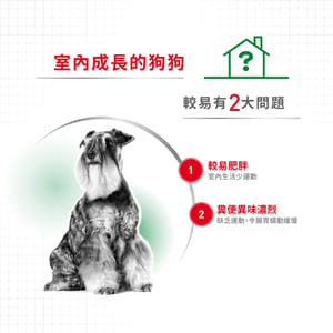Royal Canin Royal Canin 狗糧 法國皇家狗糧 健康營養系列 室內小型成犬營養配方 室內小型成犬配方 ILA 1.5kg 5kg  背面圖