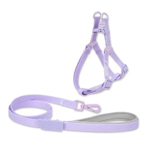 TOUCHDOG TOUCHDOG 奶油牽繩套裝 M 20mm   正面圖