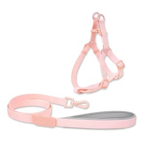 TOUCHDOG TOUCHDOG 奶油牽繩套裝 M 20mm   正面圖