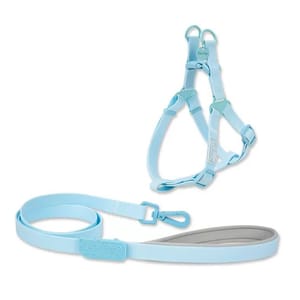 TOUCHDOG TOUCHDOG 奶油牽繩套裝 M 20mm   背面圖
