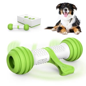 GiGwi GiGwi Petgeek電動玩具 智能骨頭 正面圖