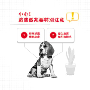 Royal Canin Royal Canin 狗糧 法國皇家狗糧 中型犬皮膚舒緩加護配方 DCME 3kg 3kg  背面圖