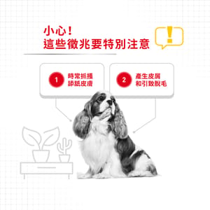 Royal Canin Royal Canin 狗糧 法國皇家狗糧 加護系列 小型犬皮膚舒緩加護配方 小型犬皮膚敏感專用配方 DCMI 3kg 3kg 背面圖