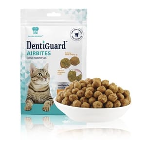 NATURA NATURA NOURISH DentiGuard空氣潔齒球 55g 55g  正面圖