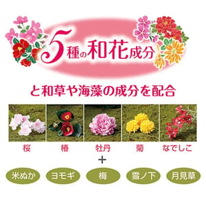 Petio Petio 日本製 和彩美花 氨基酸護理 花香低刺激洗毛液 480ml 480ml 犬用 背面圖