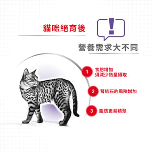 Royal Canin Royal Canin 貓糧 法國皇家貓糧 健康營養系列 絕育成貓營養配方 STL37 2kg 2kg 背面圖