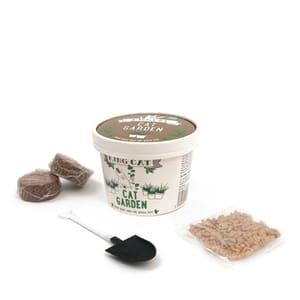 King King Catnip 貓玩具 Cat Garden ⾃種貓草 12g 12g 正面圖