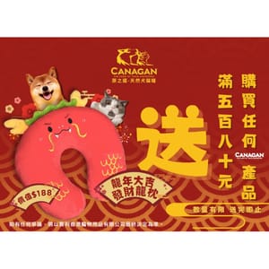 CANAGAN原之選 CANAGAN原之選 寵物床墊 龍年大吉 發財龍枕   正面圖