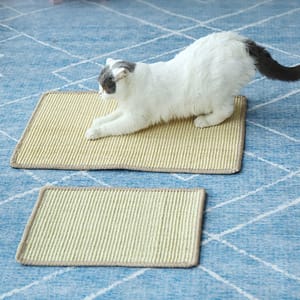 HelloDOG HelloDOG 玩具嚴選 傢具保護好幫手 劍麻地毯貓抓板 40x30cm 正面圖