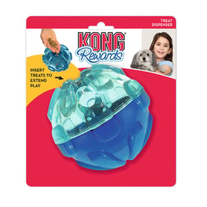 KONG KONG Rewards Ball 13cm   正面圖