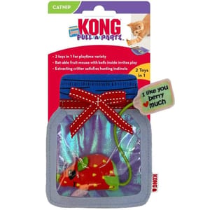 KONG KONG Pull-a-Partz Jamz Assorted 正面圖