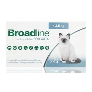 Broadline Broadline Cat S 3p 正面圖