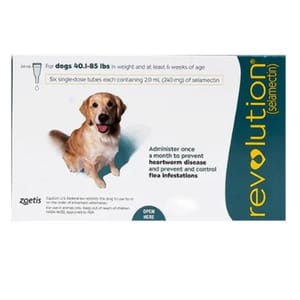 Revolution Revolution Large 3P 正面圖