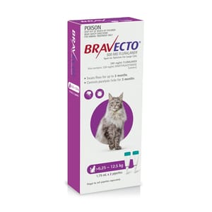 Bravecto Bravecto Spot On Cat Purple 1.79ml 2P 79ml 正面圖