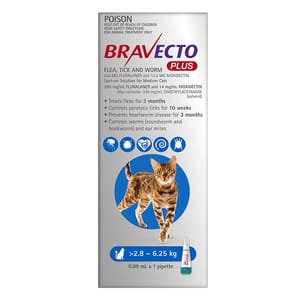 Bravecto Bravecto Plus spot-on solution for medium cats 1P 25kg 正面圖