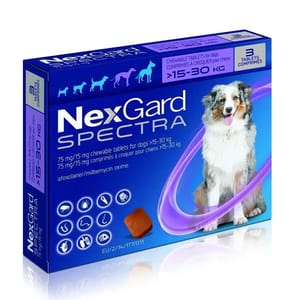 NexGard NexGard Spectra L 3T 30kg 正面圖