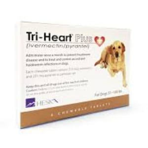Tri-Heart Tri-Heart Plus 心絲蟲藥 Large Dogs L 啡 100lb 正面圖