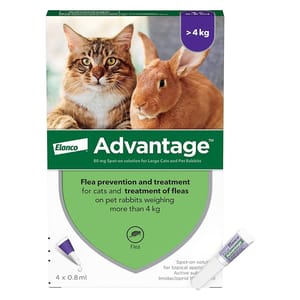 Advantage Advantage for Cats 4-8kg Large 4p 8kg  正面圖