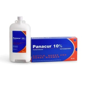 Panacur Panacur 10% Oral Suspension 1L 1L  正面圖