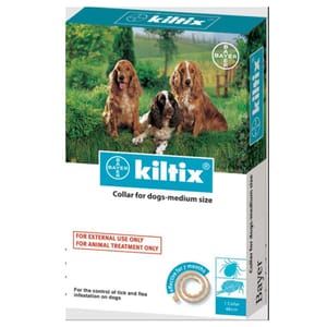 Bayer Bayer Kiltix M 48cm 正面圖