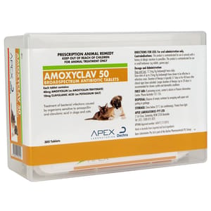 Amoxyclav Amoxyclav 50mg tablet 300粒 300粒 正面圖