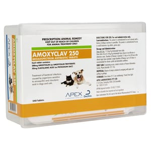 Amoxyclav Amoxyclav 250mg tablet 240粒 240粒 正面圖